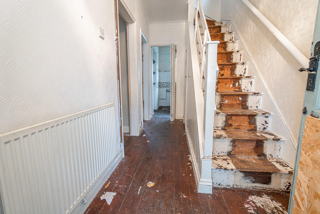 20250527-DSC04586...