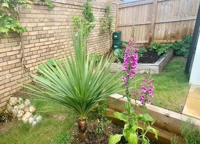 Garden angle