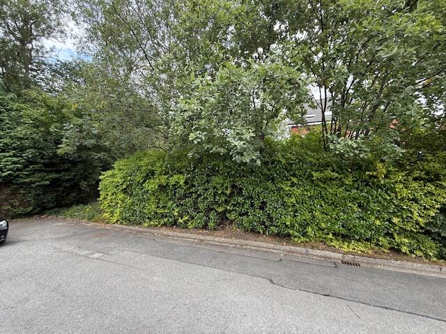 Image002 T202507151023.jpg