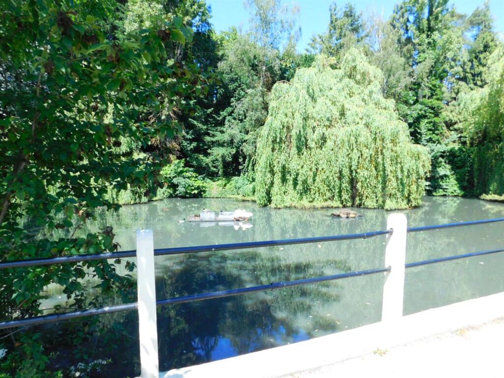 Clifton Duck Pond