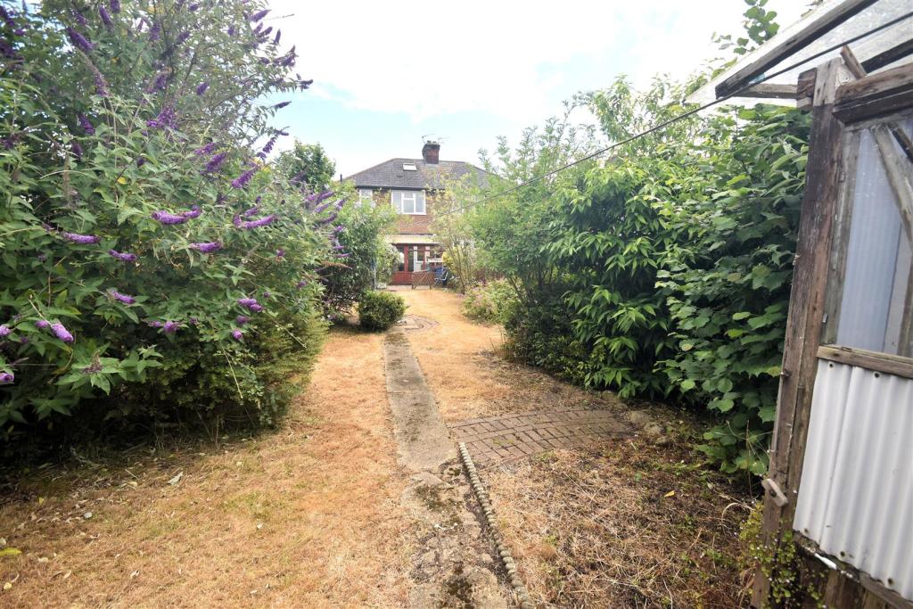 Garden 4.jpg