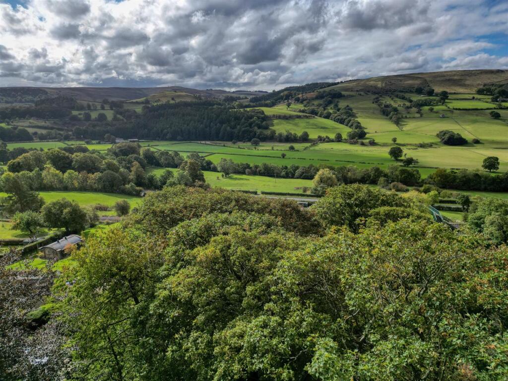 Saxton Mee  cartref drone 0027.jpg