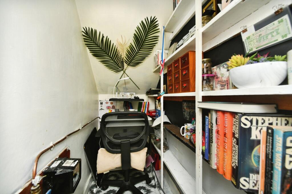 Study Area