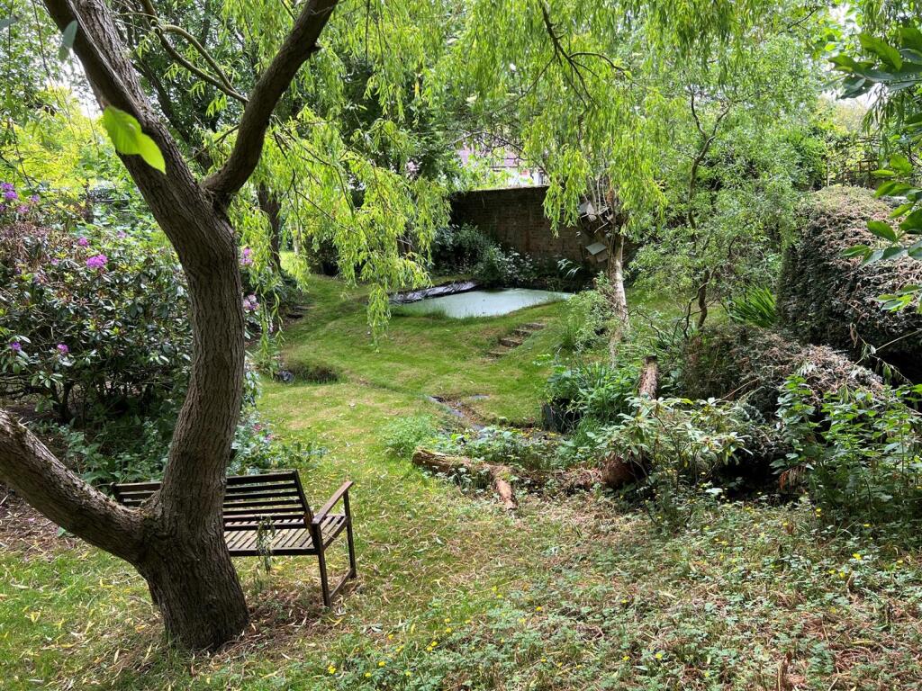 Pond Area.jpg