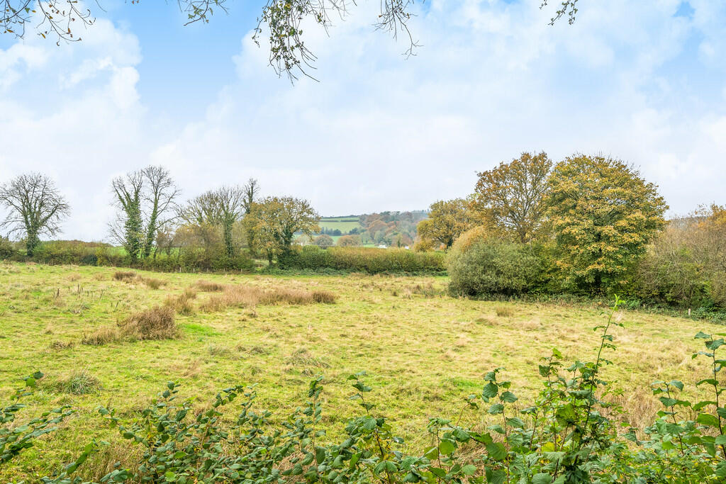 Field Beyond at r...