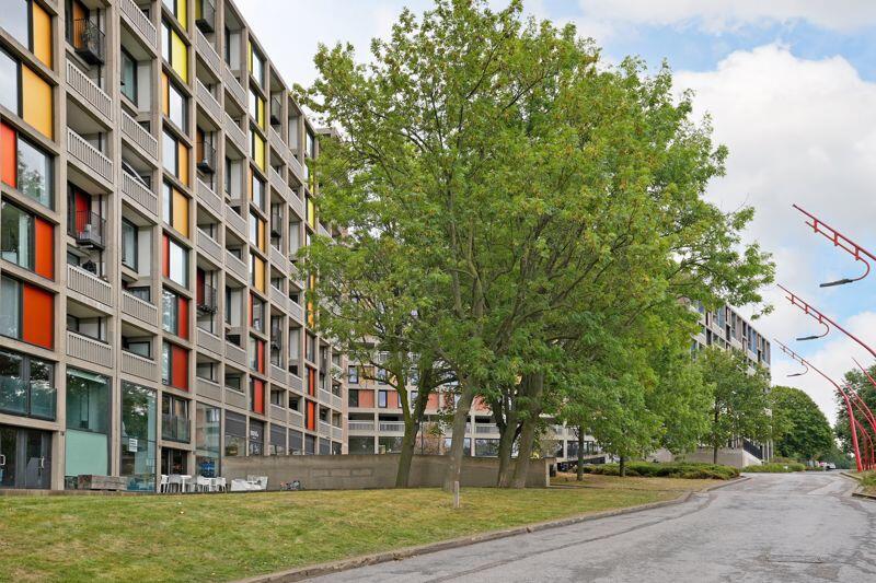 Park Hill 