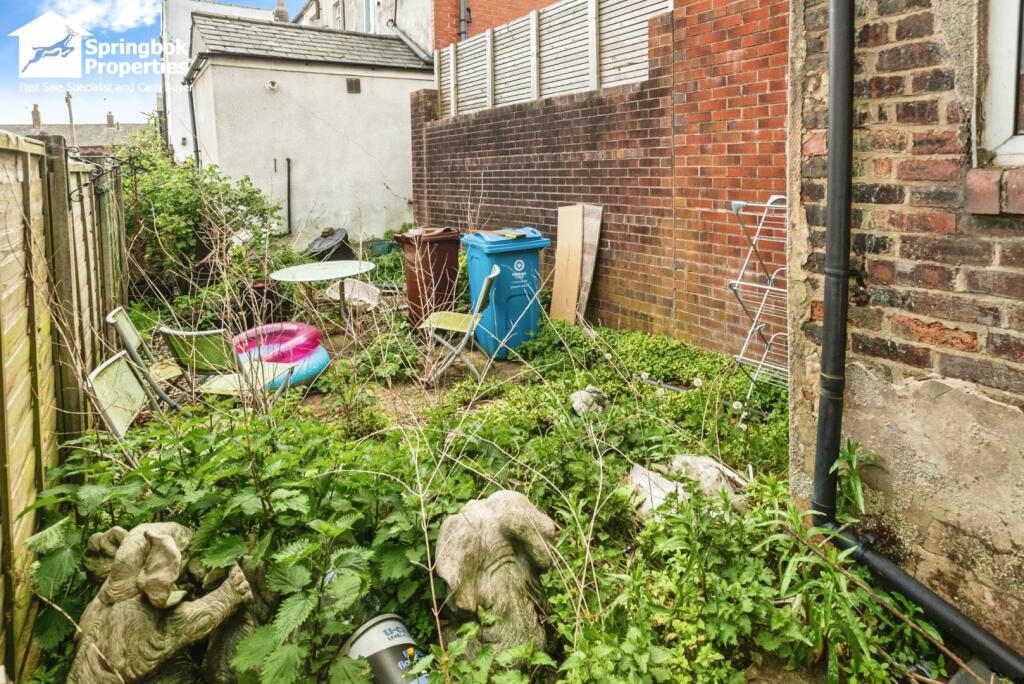 Image 14