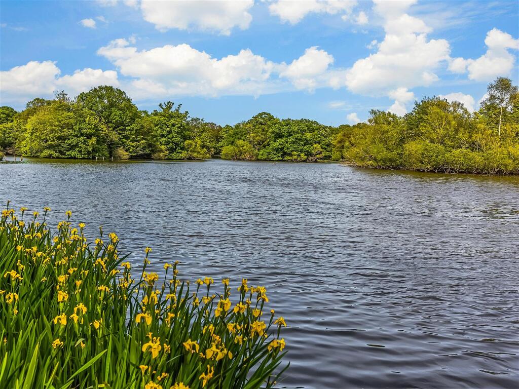 Chingford Lake