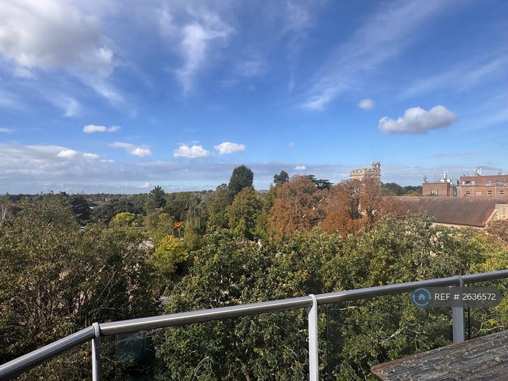 View From The Penthouse Balcony