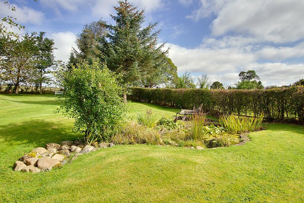 Wildlife pond