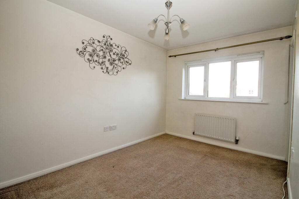 IMG_390_29_original.