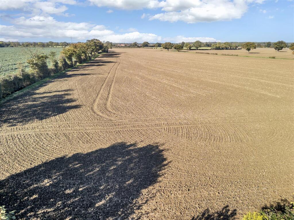DJI_0446.jpg