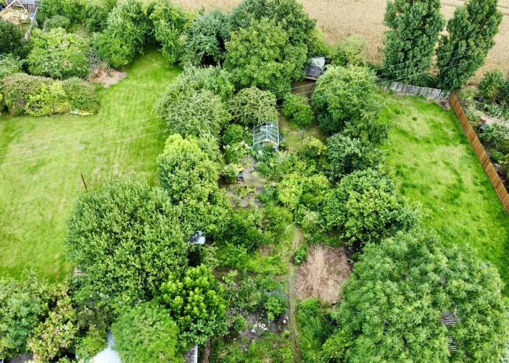 Plot aerial