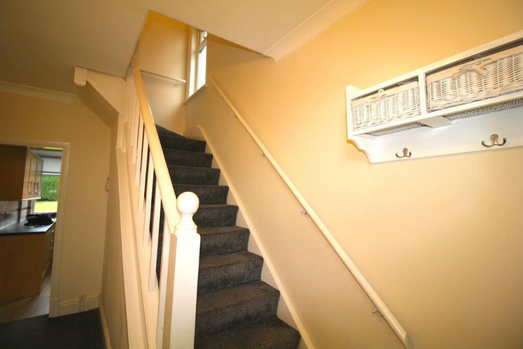 Stairs T202502211603.jpeg