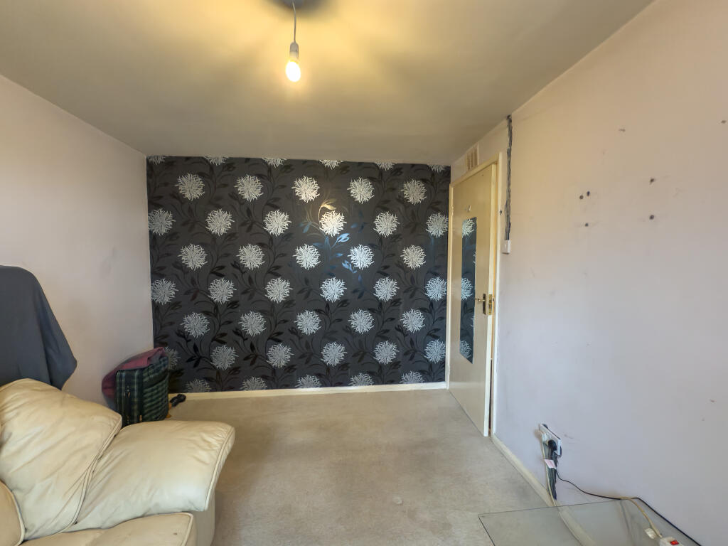 IMG 4135 T202509171429.jpg