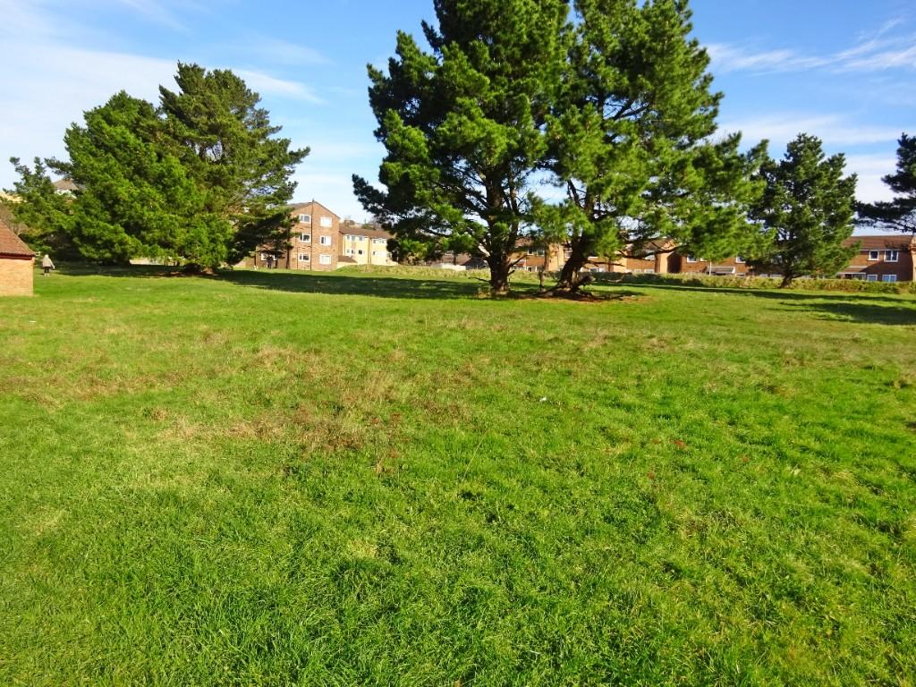 Green Space
