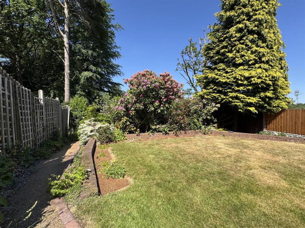 IMG_9508 (Large).JPG