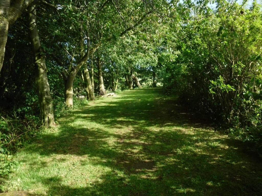 WOODLANDS PHOTO