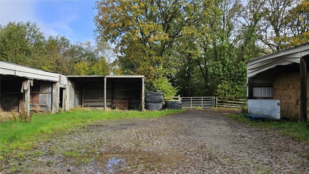 Lot 3