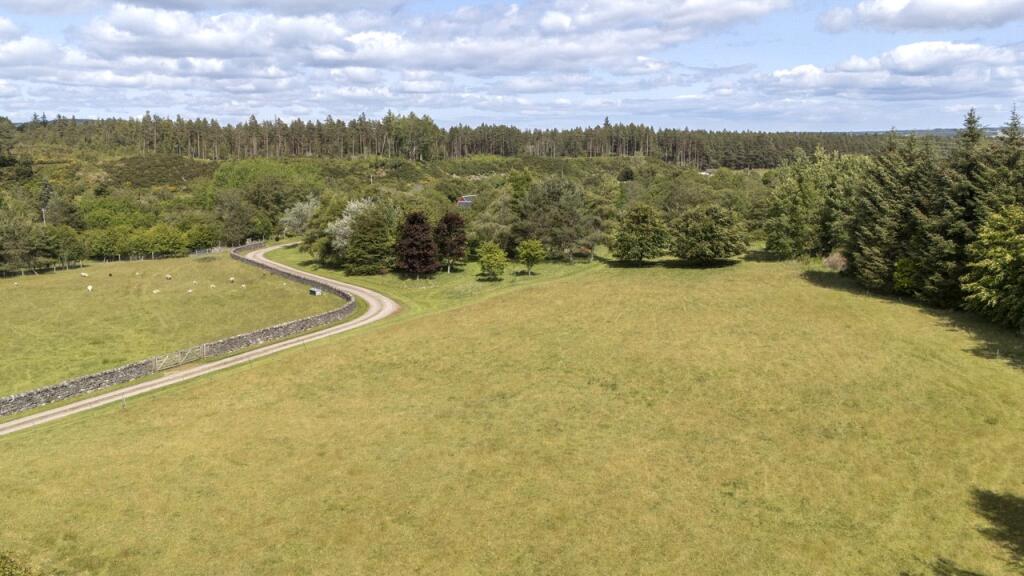 Grounds