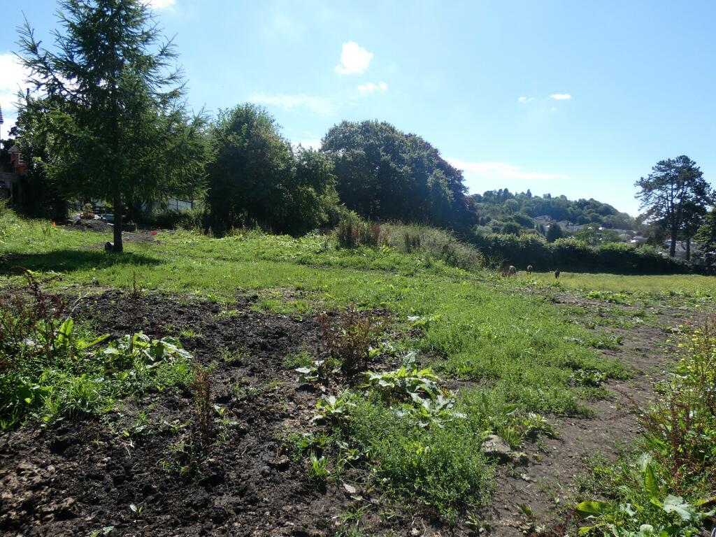 Paddock