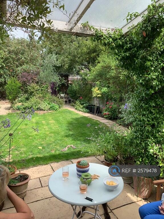Garden From Kitchen