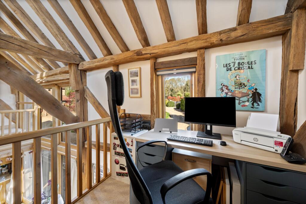 Study Area