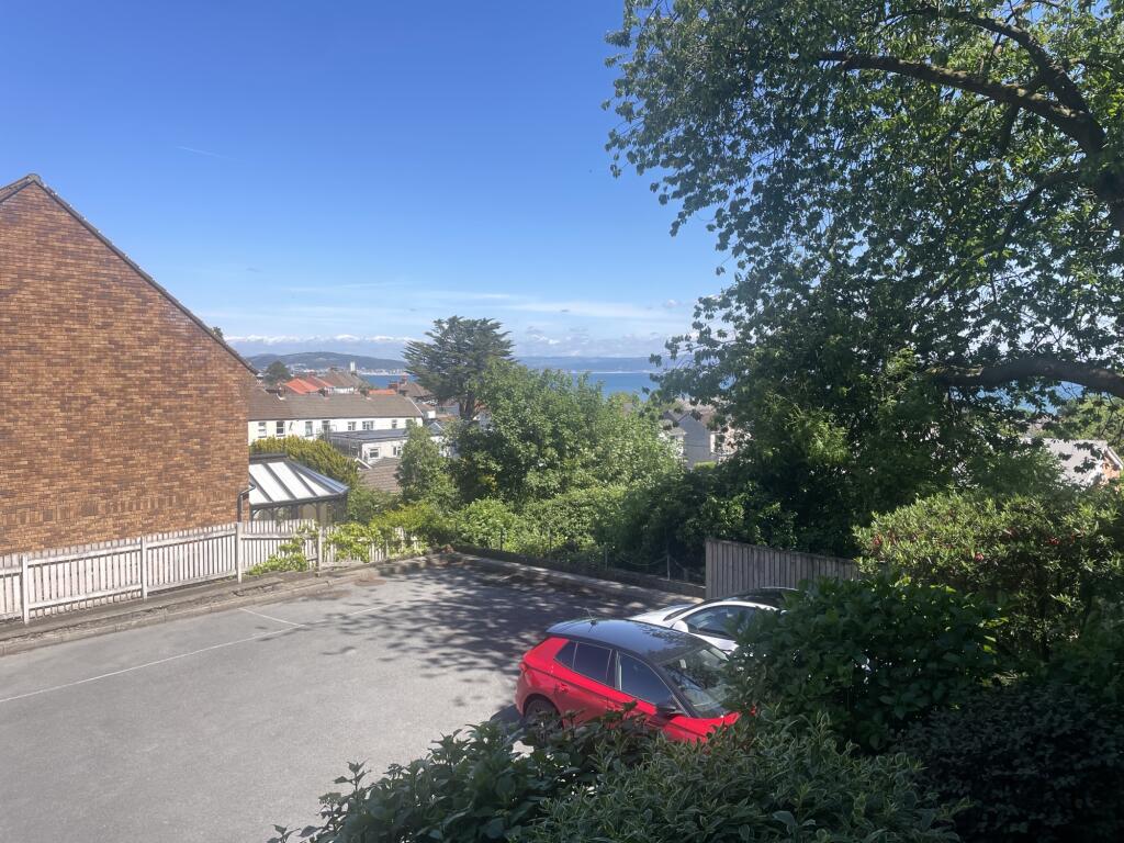 IMG 6911 T202505221606.jpeg