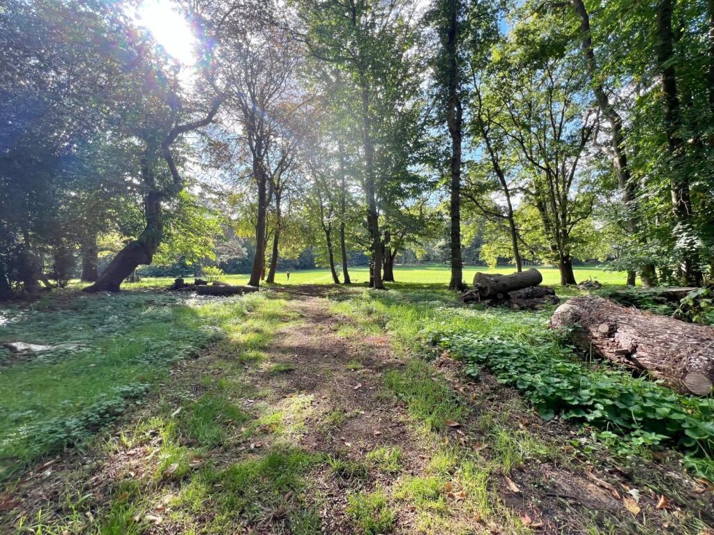 Grounds