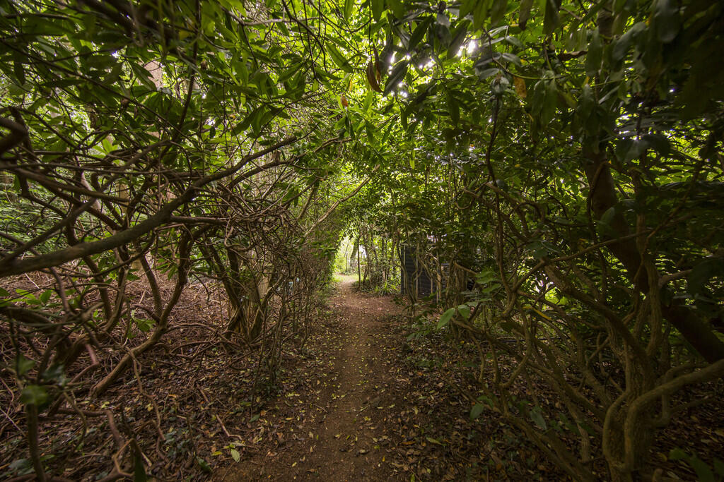 Wooded Area
