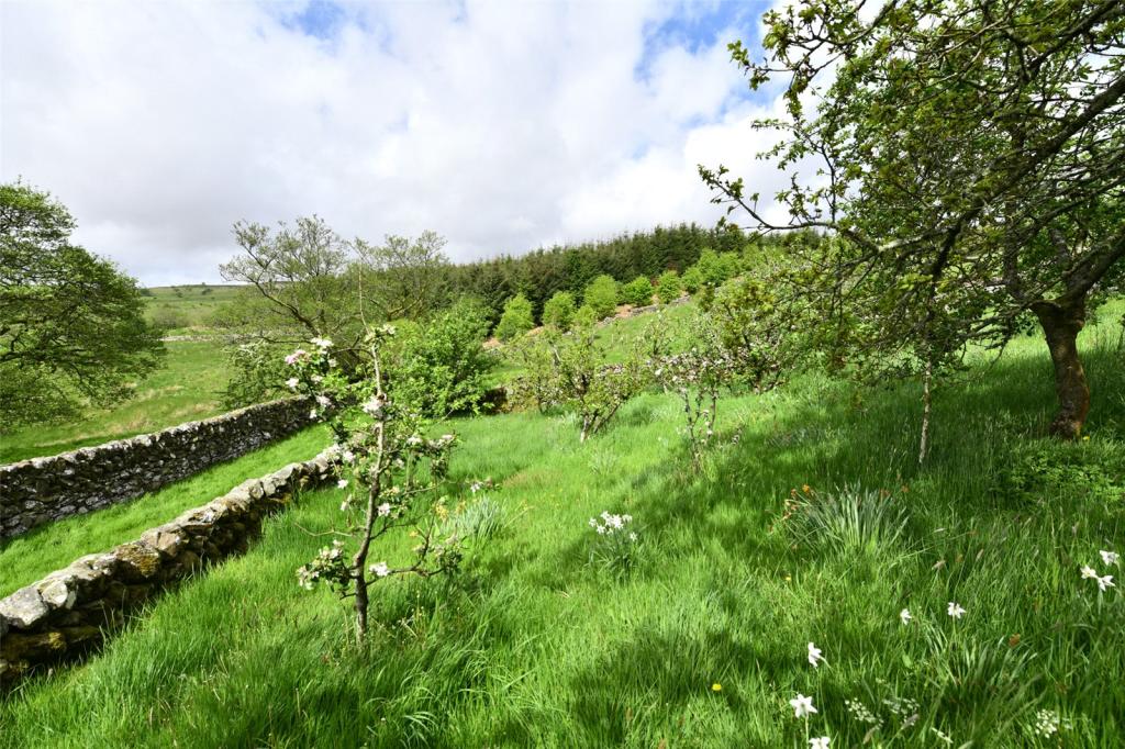 Orchard