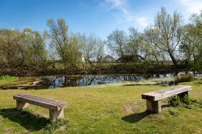 2019_Marlie_Kent_pond_lake_benches_local_area_6720