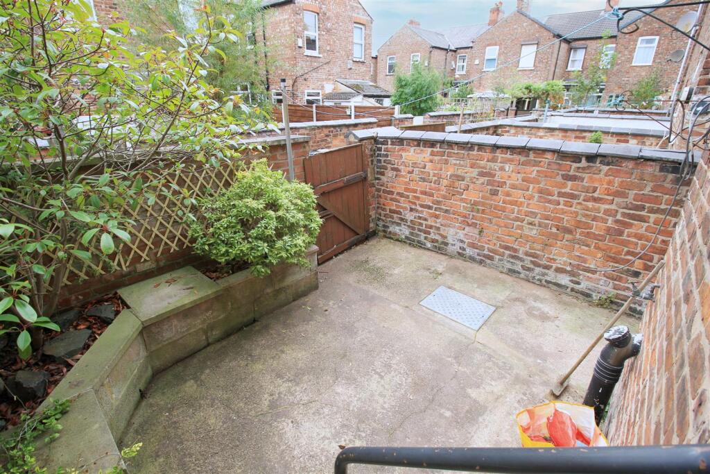 Rear yard.jpg