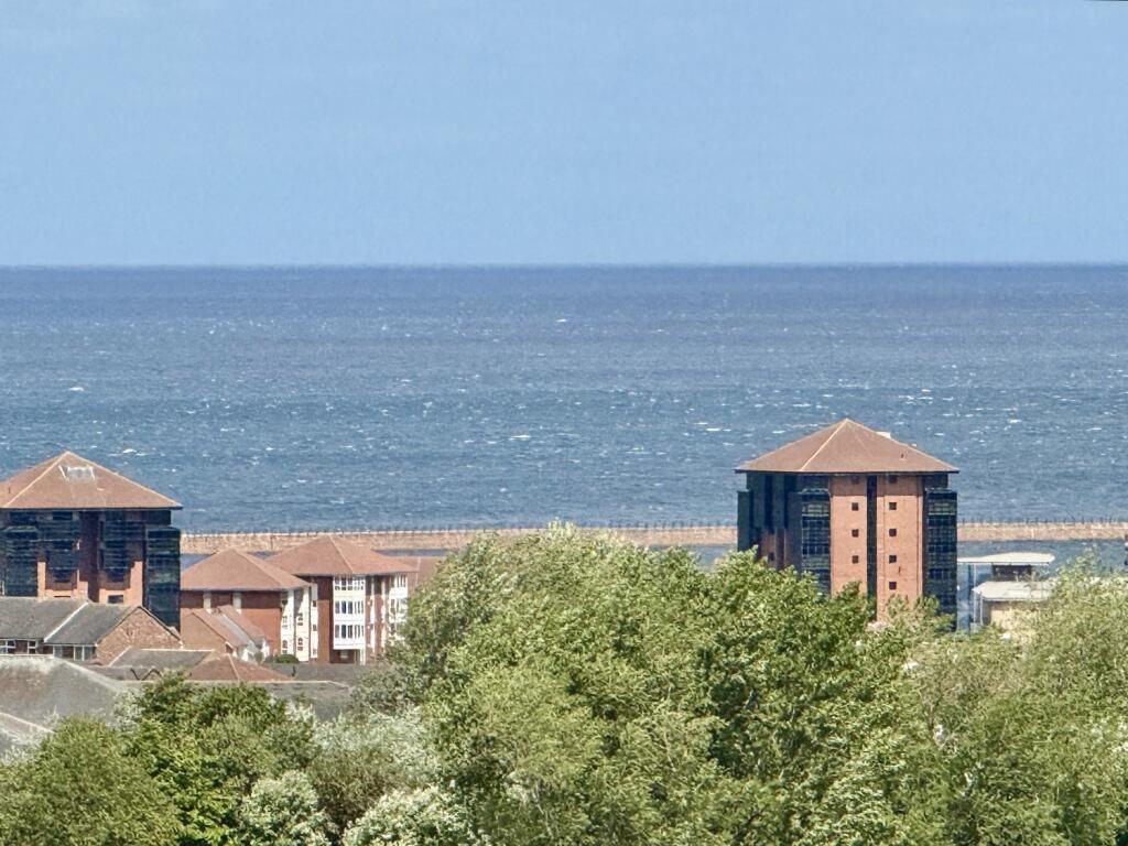 IMG_0707