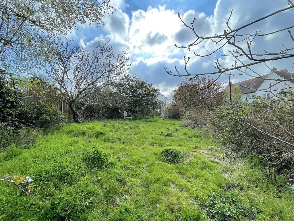 Garden (8).jpeg