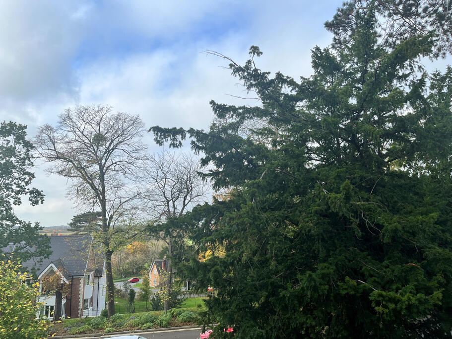 Outside views