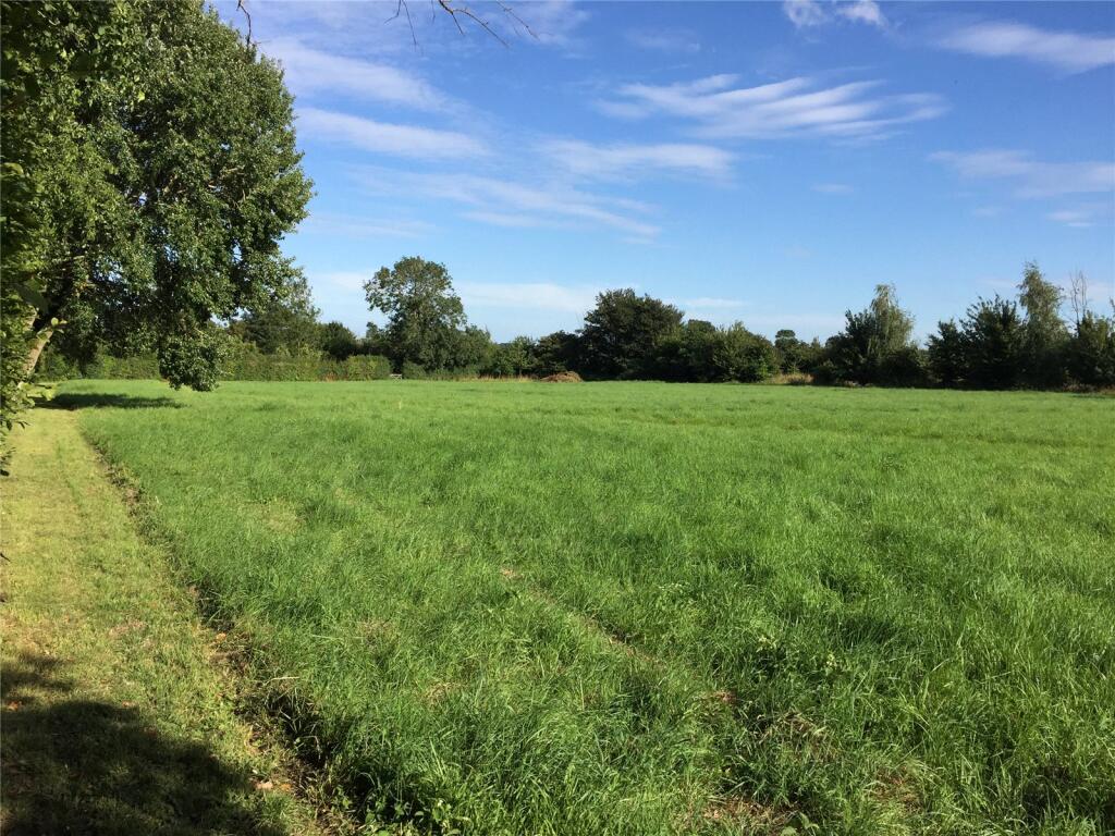Meadow