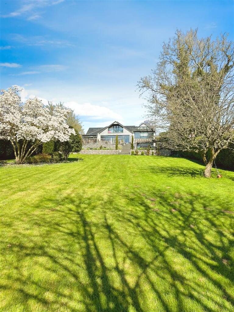 editedimage-ad1f8359-f328-4817-a0d3-fe103546edc3 2