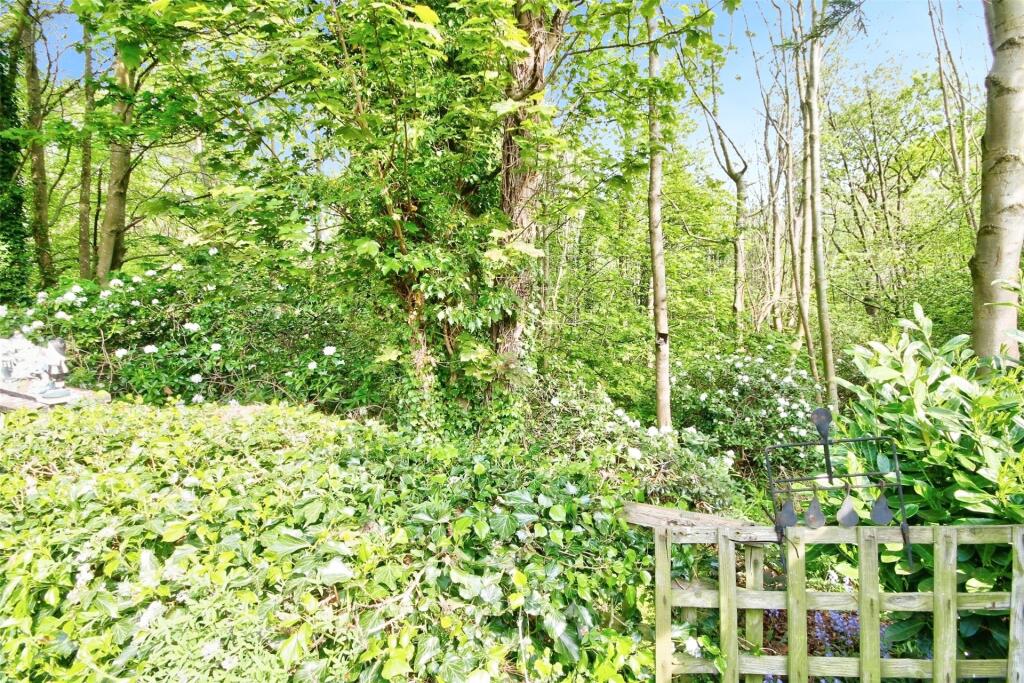 Woodland