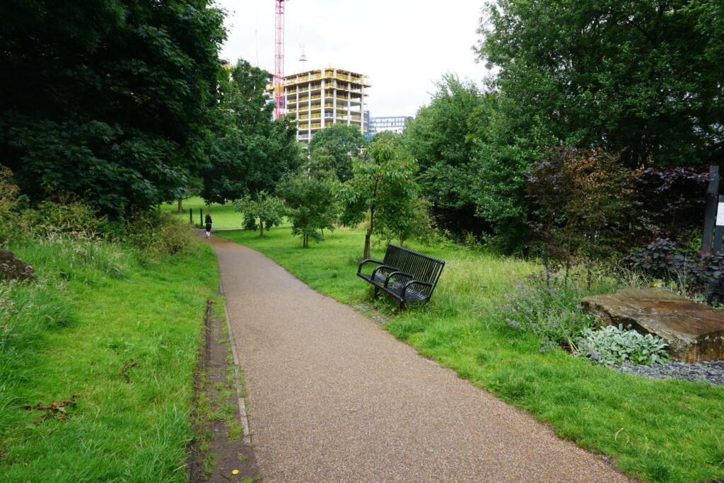 The Park