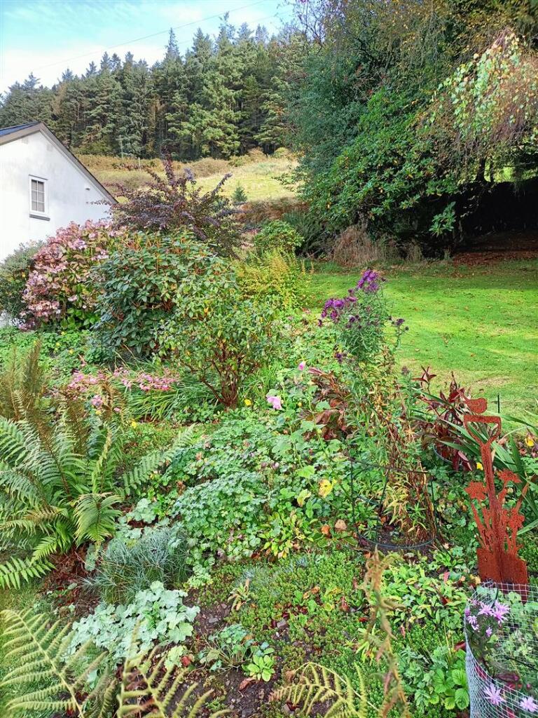 Crud Yr Awel Garden 2.jpg