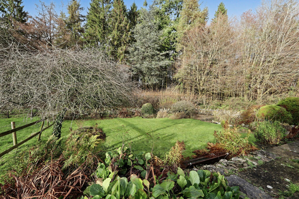 Front garden