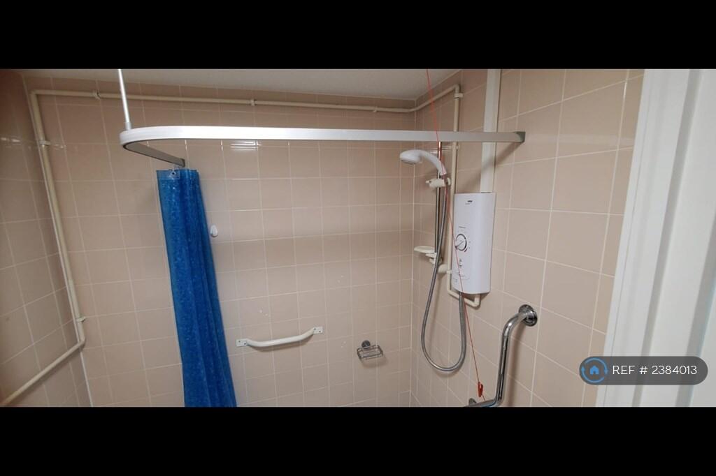 Electric Shower