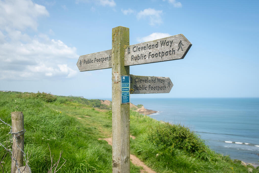 The area around Cayton Bay beach in summer