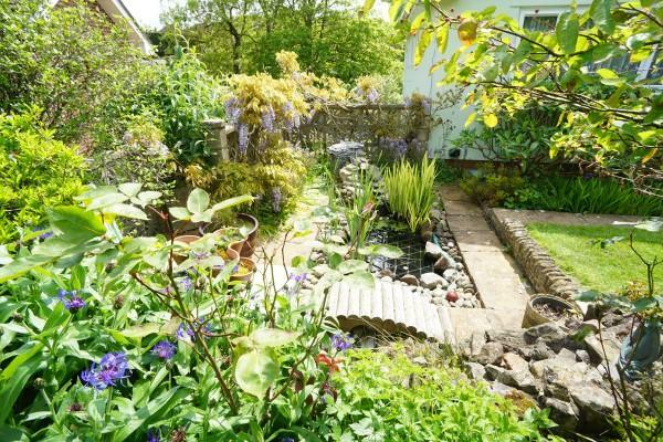 Feature Pond