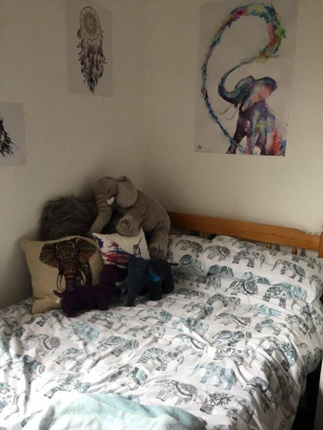 heeley-road-b29-6ej-953824