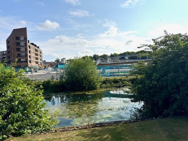 More Views Of The Gardens