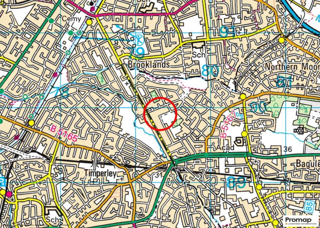 Town Plan.jpg