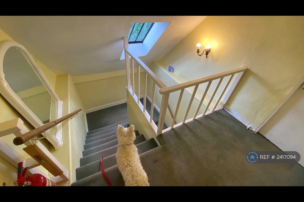 Looking Down From Upper Landing 
