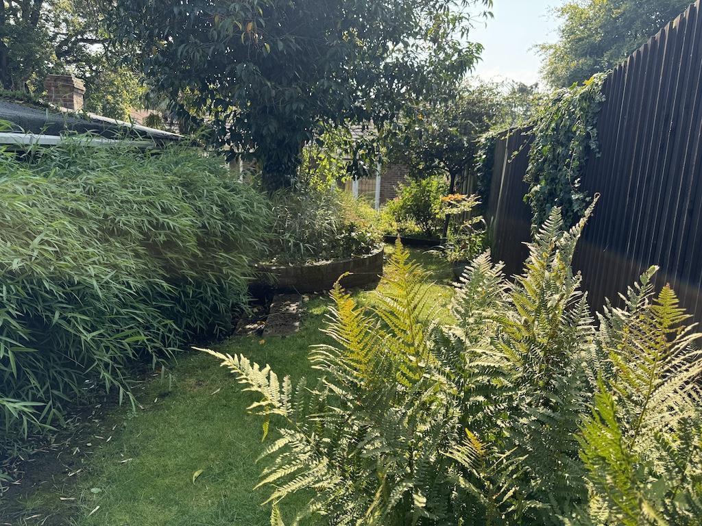 22 - Rear Garden_.jpg
